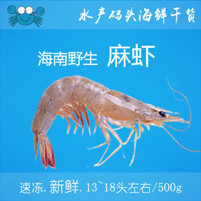 探尋鮮味之源 水產碼頭野生麻蝦的滋味與情懷
